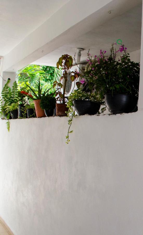 Casa Mar Apartment Playa del Carmen Luaran gambar